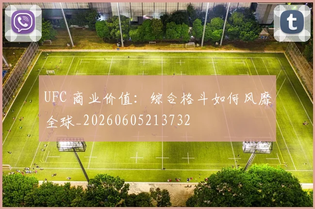UFC 商业价值：综合格斗如何风靡全球_20260605213732
