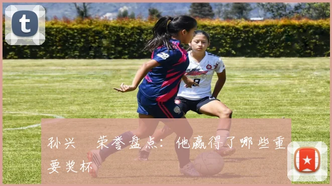 孙兴慜荣誉盘点:他赢得了哪些重要奖杯