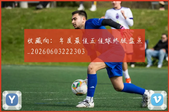 收藏向：年度最佳五佳球终极盘点_20260603222303